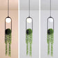 Wren - Sky Garden Planter Light