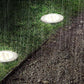 Callan - Solar Powered Garden Ground LED Light