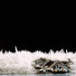 Haiden - Luxury Shaggy Area Rug