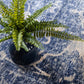 Damari - Modern Area Rug