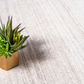 Brysen - Modern Border Rug