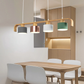 Modern Nordic LED Pendant Lamp
