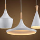Jule - Modern Iron Pendant Light