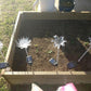 LED Flowers Garden Lights