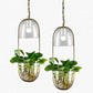 Lileas - Modern Hanging Planter Lamp
