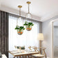 Lileas - Modern Hanging Planter Lamp