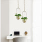 Lileas - Modern Hanging Planter Lamp