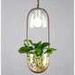 Lileas - Modern Hanging Planter Lamp