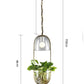 Lileas - Modern Hanging Planter Lamp