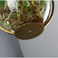 Lileas - Modern Hanging Planter Lamp