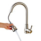 Roberto - Pull Down Kitchen Faucet