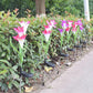 Artificial Lilies LED Garden Lights