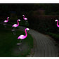 Solar Power Flamingo Garden Lamp