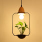 Zox - Modern Nordic Iron Pendant Planter Lamp