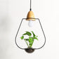 Zox - Modern Nordic Iron Pendant Planter Lamp