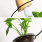 Zox - Modern Nordic Iron Pendant Planter Lamp