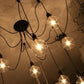 The Warmly Spider Chandelier