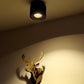 Sere - LED Down Spotlight