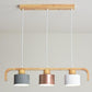 Modern Nordic LED Pendant Lamp