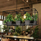 Iron Planter Chandelier