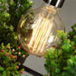 Iron Planter Chandelier
