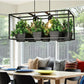 Iron Planter Chandelier