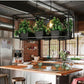 Iron Planter Chandelier