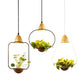 Zox - Modern Nordic Iron Pendant Planter Lamp