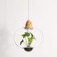 Zox - Modern Nordic Iron Pendant Planter Lamp