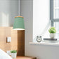 Modern Nordic Drop Down Lamp