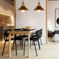 Pius - Modern Shade Hanging Lamp