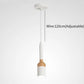 Butler - Modern Nordic LED Brush Pendant Light