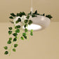 Mauricio - Modern Planter Lampshade