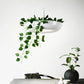 Mauricio - Modern Planter Lampshade