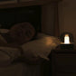 Asher - Glass Dome Desk Lamp